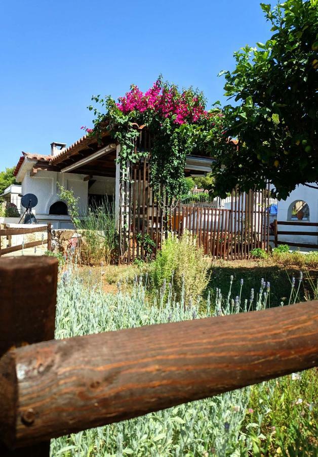 Koel Country House Ano Almiri Exterior photo